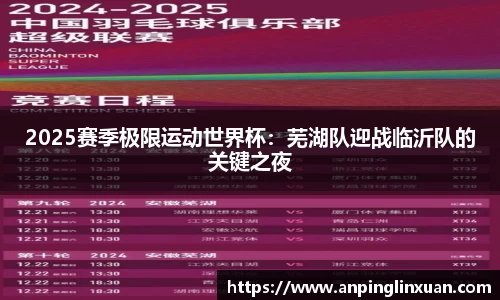 2025赛季极限运动世界杯：芜湖队迎战临沂队的关键之夜