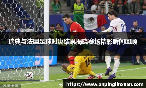 瑞典与法国足球对决结果揭晓赛场精彩瞬间回顾